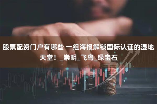 股票配资门户有哪些 一组海报解锁国际认证的湿地天堂！_崇明_飞鸟_绿宝石