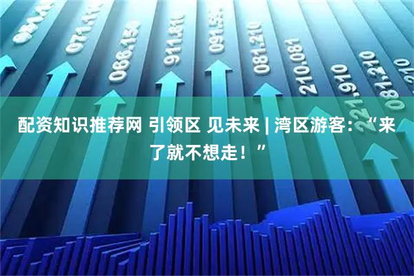 配资知识推荐网 引领区 见未来 | 湾区游客：“来了就不想走！”