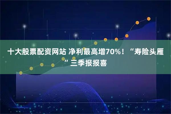 十大股票配资网站 净利最高增70%！“寿险头雁”三季报报喜